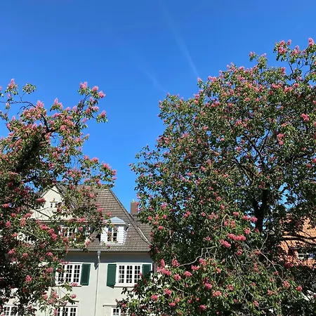 招待所 Helles 1-raum Mit Eigenem Bad & Terasse 3*